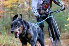 ITF-Leipa-Sprint-Scooter-23