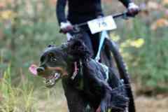 ITF-Leipa-Sprint-Scooter-24