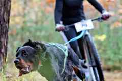 ITF-Leipa-Sprint-Scooter-27