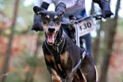 ITF-Leipa-Sprint-Scooter-36