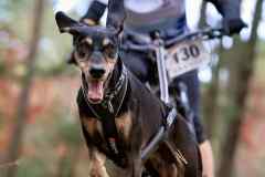 ITF-Leipa-Sprint-Scooter-37