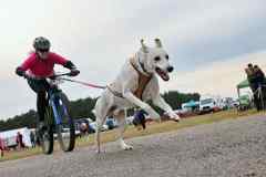 ITF-Leipa-Staffel-17