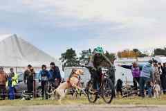 ITF-Leipa-Staffel-26