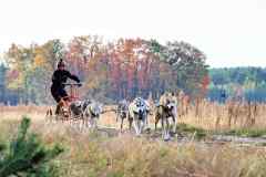 IFT-Leipa-Rig8RBN-01