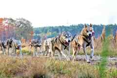 IFT-Leipa-Rig8RBN-03