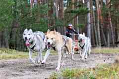 IFT-Leipa-Rig8RBN-05