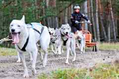 IFT-Leipa-Rig8RBN-07