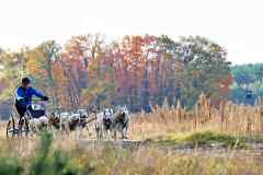 IFT-Leipa-Rig8RBN-08